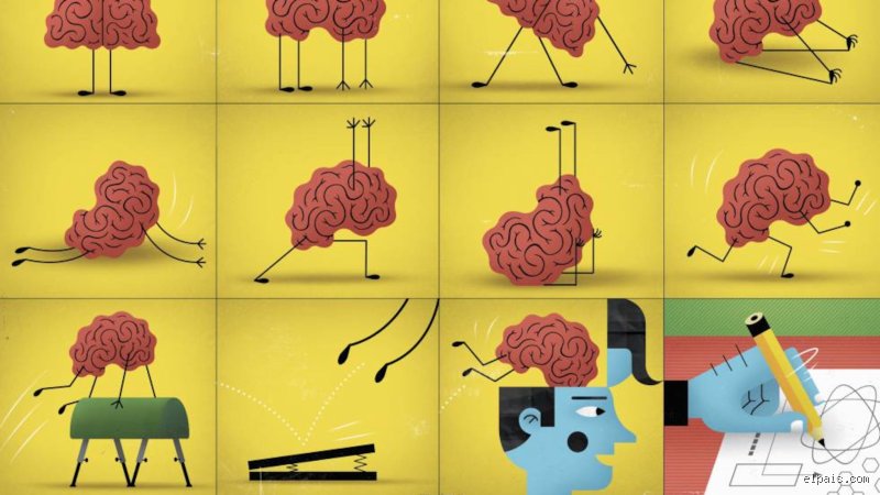 ¿Cómo ayudar al cerebro a regenerarse?