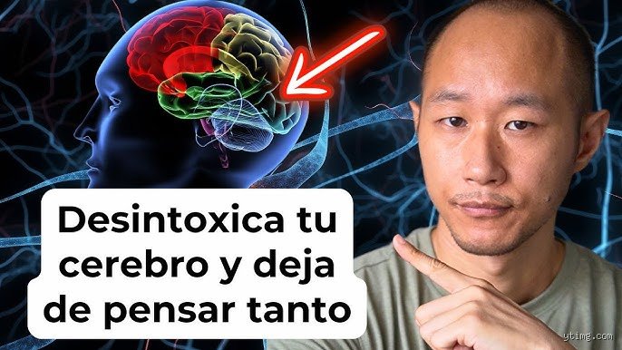 ¿Cómo desintoxicar tu cerebro?