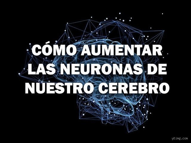 ¿Cómo despertar las neuronas dormidas?