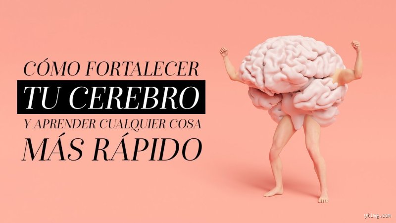 ¿Cómo recargar tu cerebro?
