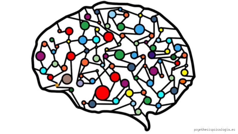¿Cómo saber si tienes un coeficiente intelectual bajo?
