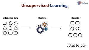 ¿Cuál era el IQ de Da Vinci?