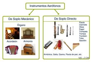 ¿Cuál es la diferencia entre un aerófono y un idiófono?