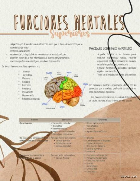 ¿Cuáles son las 12 funciones mentales superiores?