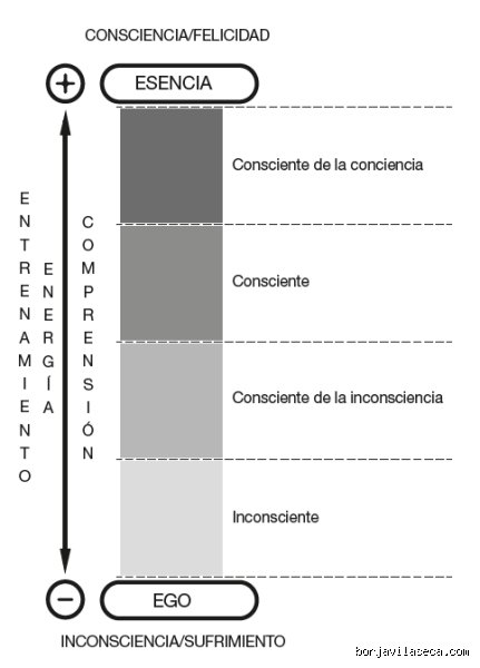 ¿Cuáles son las 4 etapas de la consciencia?