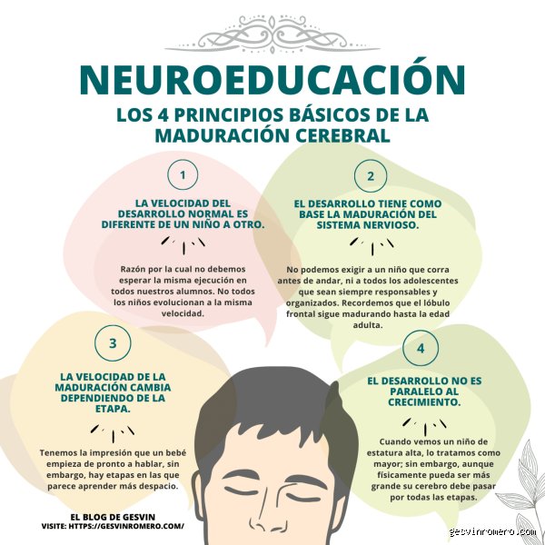 ¿Cuáles son las 4 unidades básicas de la cognición?