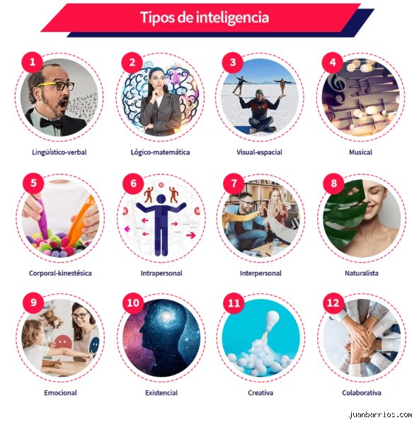 ¿Cuáles son los 12 tipos de inteligencia?