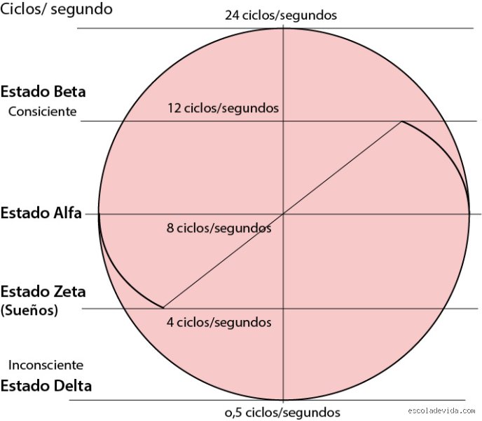¿Cuáles son los 4 estados de la mente?
