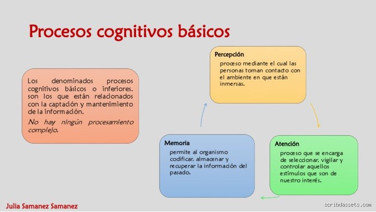 ¿Cuáles son los 4 procesos cognitivos básicos?