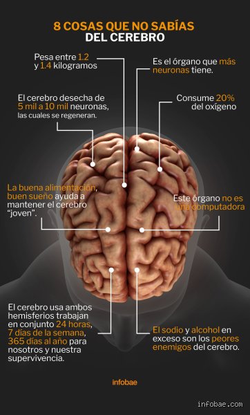 ¿Cuáles son los 7 enemigos del cerebro?