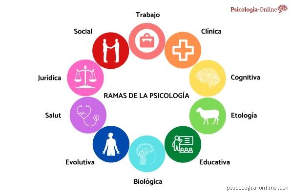 ¿Cuáles son los 7 principales conceptos de psicología?