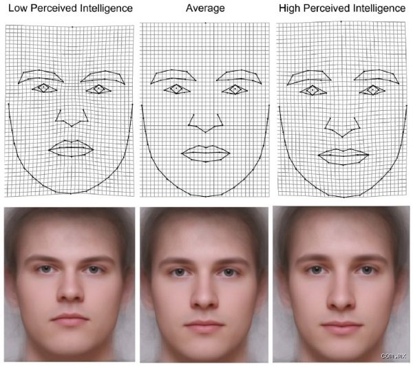 ¿Cuáles son los rasgos faciales que indican un coeficiente intelectual alto?