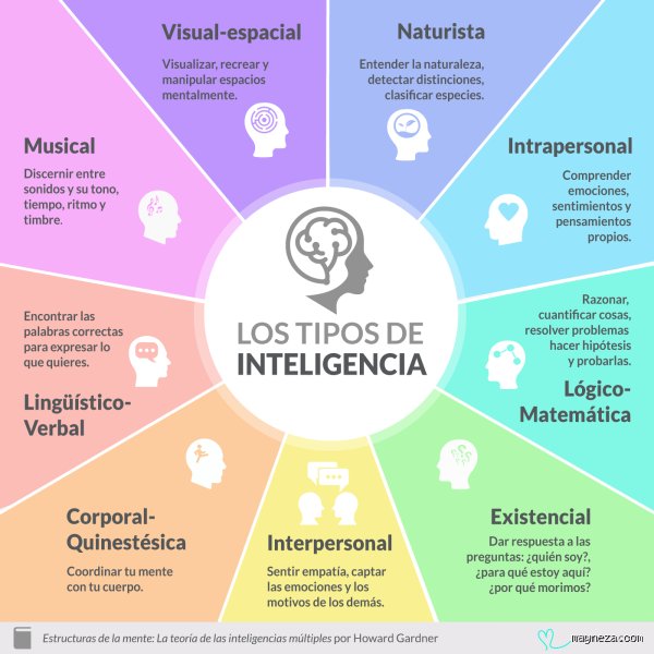 ¿Cuántos tipos de inteligencia hay y cuáles son?