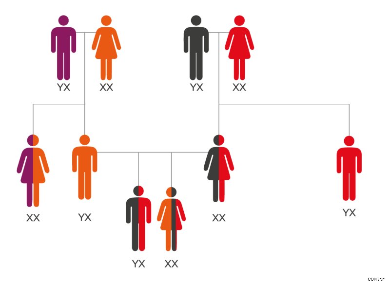 ¿De cuál de los padres se hereda la inteligencia?