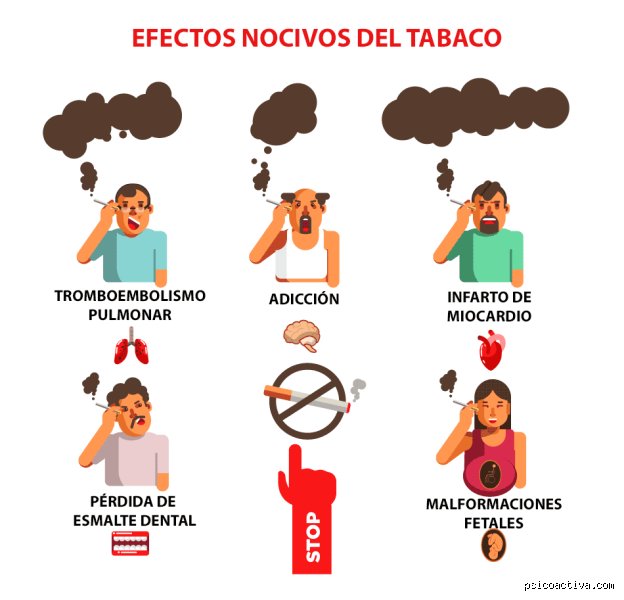 ¿Fumar nicotina reduce el coeficiente intelectual?