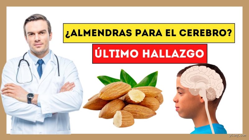 ¿La leche de almendras es buena para la memoria?