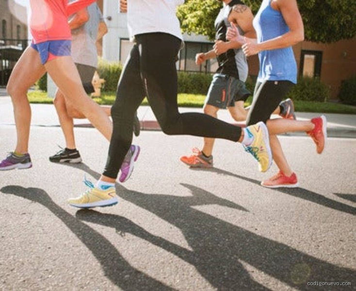 ¿Las personas inteligentes ven deportes?