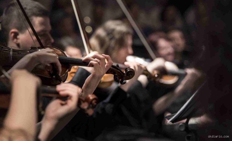 ¿Los músicos suelen ser inteligentes?