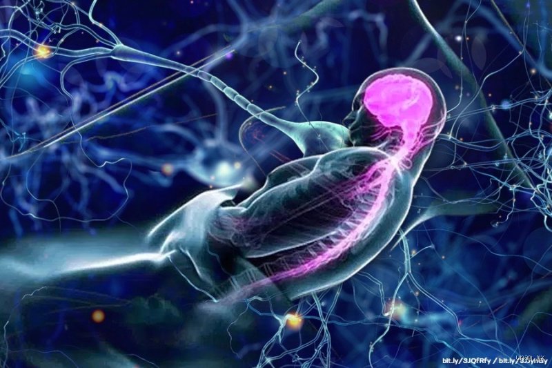 ¿Porque el cerebro sigue funcionando cuando dormimos?