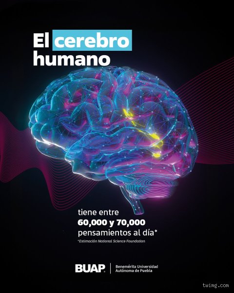 ¿Puede el cerebro humano procesar hasta 70.000 pensamientos al día?