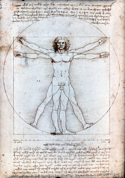 ¿Cómo describió Leonardo da Vinci el cuerpo humano?