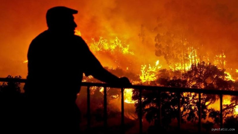¿Los humanos se sienten atraídos instintivamente por el fuego?