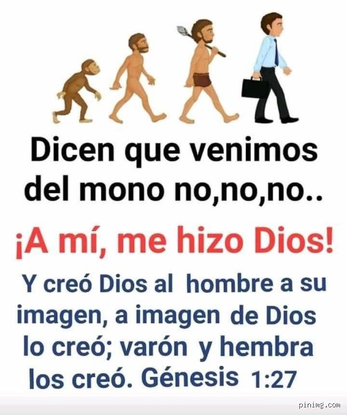 ¿Venimos del mono o de Dios?