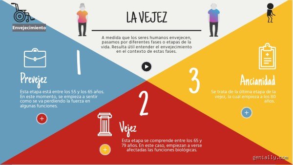 ¿Cuáles son las 4 etapas de la vejez?