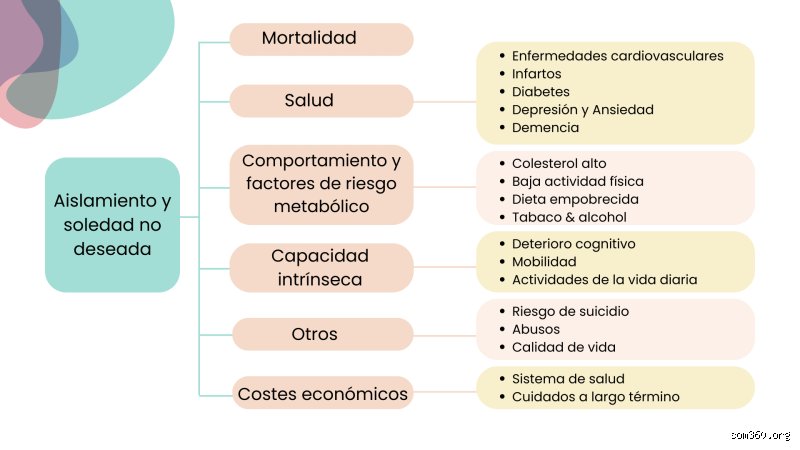 ¿Cuáles son las consecuencias de la soledad en los adultos mayores?