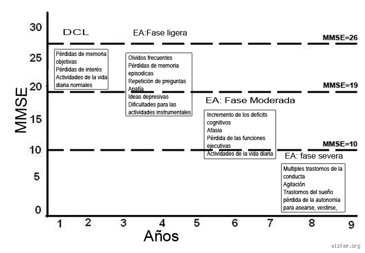 ¿Cuánto dura la fase agresiva de la demencia?