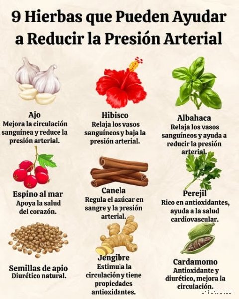 ¿Cuál es la hierba número uno para bajar la presión arterial?