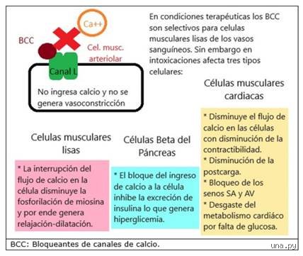 ¿Cuál tiene menos efectos secundarios, amlodipino o losartán?