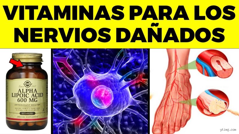 ¿Cuáles son las 7 vitaminas que reparan el daño nervioso?