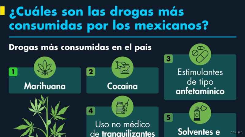¿Cuáles son las cuatro drogas más importantes?
