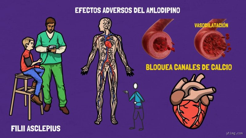 ¿Cuáles son los efectos secundarios del uso prolongado de amlodipino?