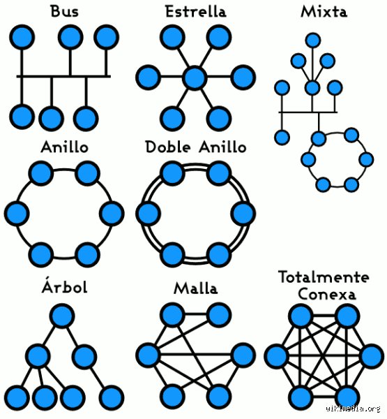 ¿Cuáles son los 7 tipos de topologías de red?