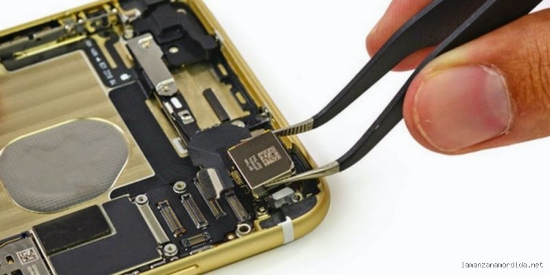¿Dónde se encuentra la memoria dentro de un iPhone?