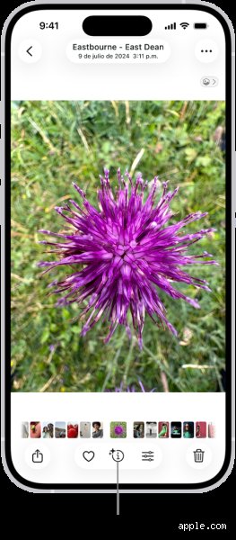 ¿Puede mi iPhone identificar algo a partir de una imagen?