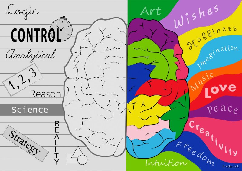 ¿Tienen los músicos un coeficiente intelectual alto?