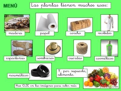 ¿Cuáles son 10 ejemplos de cosas naturales?