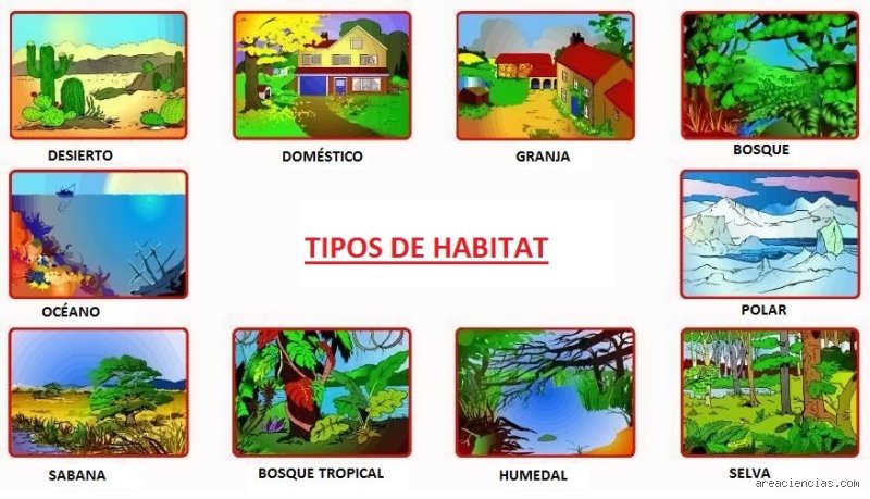 ¿Cuáles son los 5 tipos de hábitat?