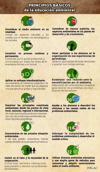 ¿Cuáles son los 7 principios del medio ambiente?