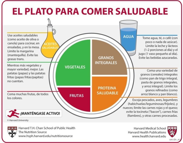 ¿Cuál es el plato más sano del mundo?