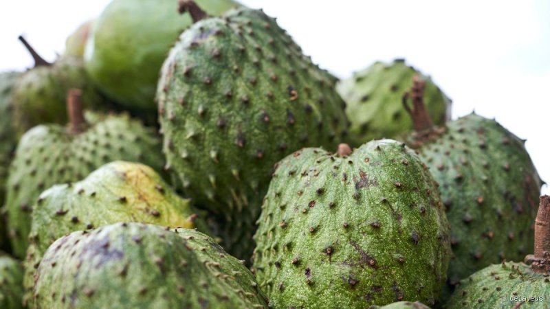 ¿Cuál es la fruta que previene el cáncer?
