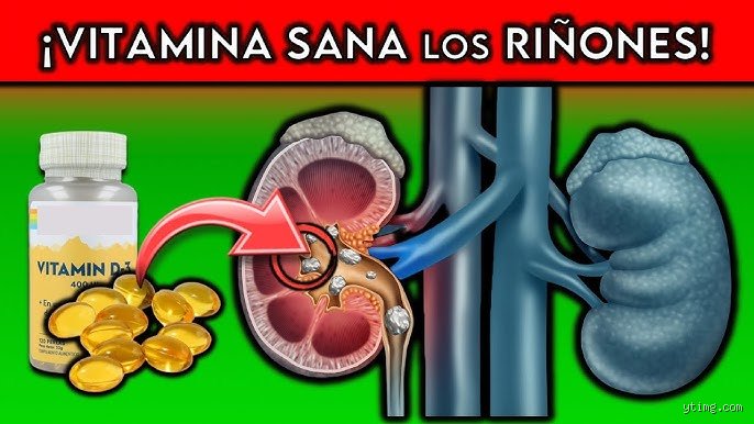 ¿Cuál es la mejor vitamina para los riñones?