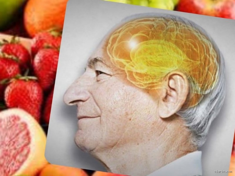 ¿Cuál es la poderosa fruta que activa el cerebro en 4 días?
