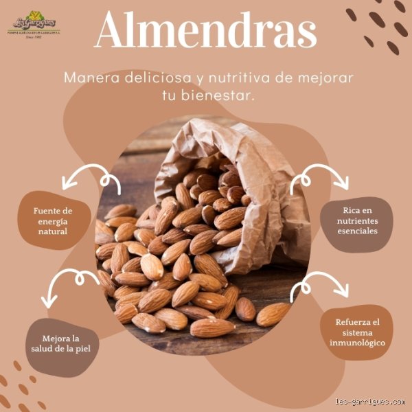 ¿Cuáles son 10 beneficios de la almendra para la salud?