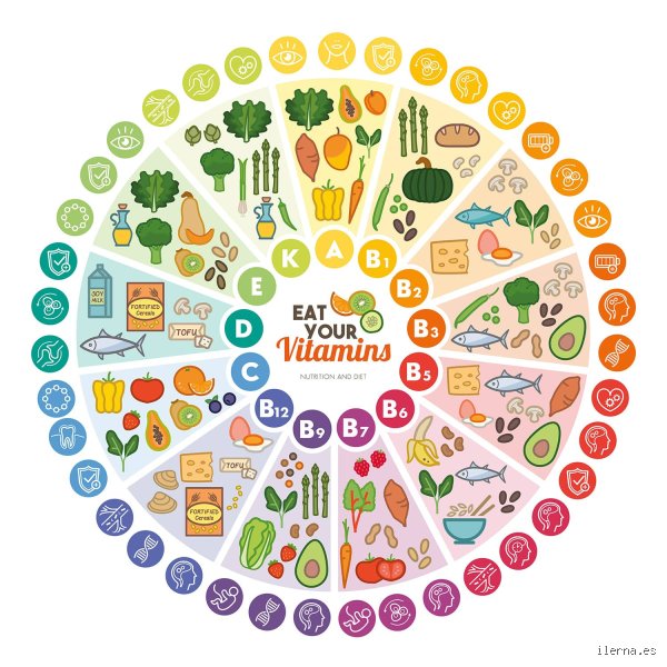 ¿Cuáles son las 10 vitaminas más importantes?