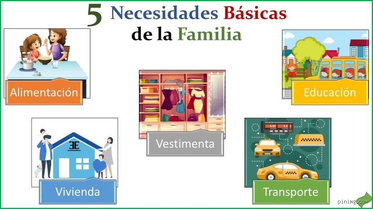 ¿Cuáles son las 5 necesidades básicas?
