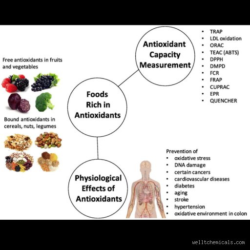 ¿Cuáles son los 3 principales antioxidantes?